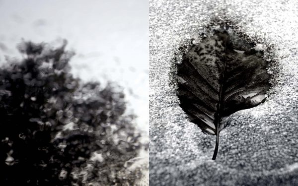 Silent Conversations 