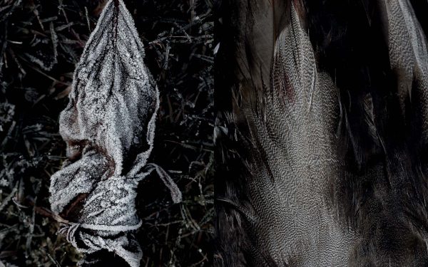 Silent Conversations 